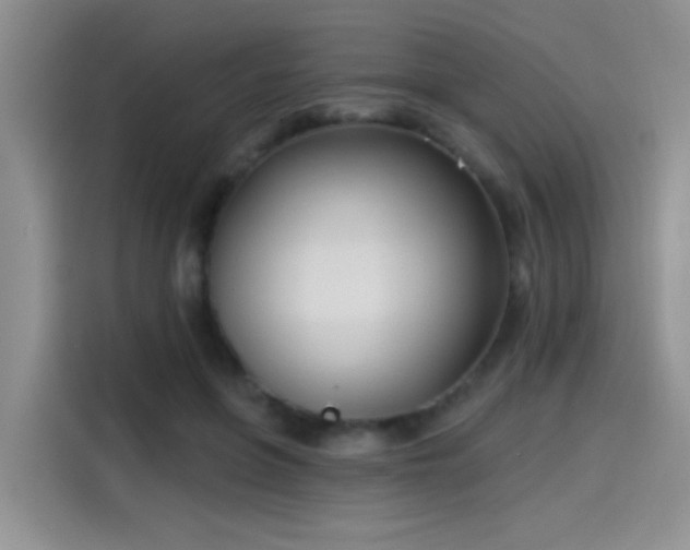 X0000115610551200911171150