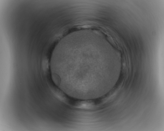 X0000115610555200911171150