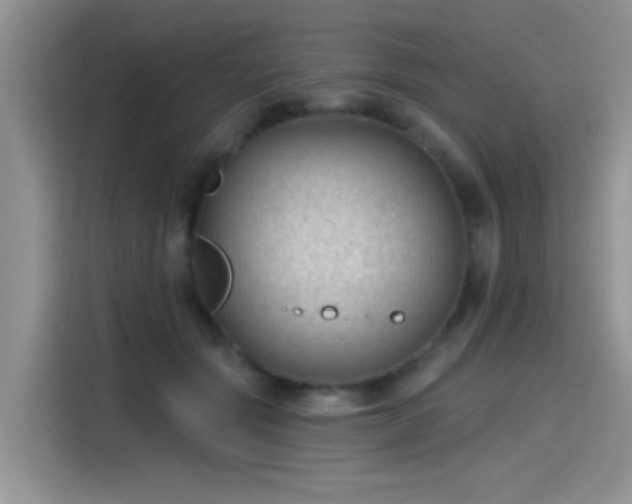 X0000115610557200911171150
