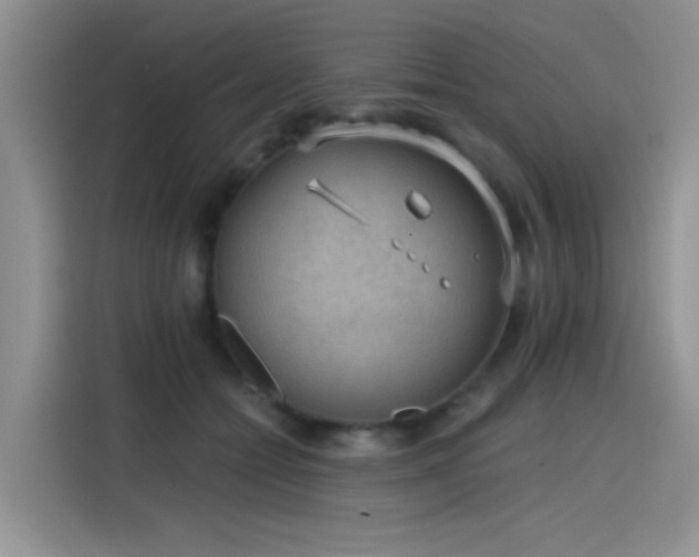 X0000115610558200911171150