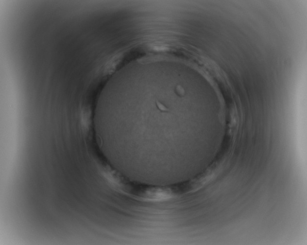 X0000115610559200911171150