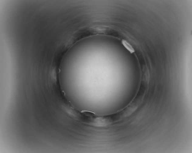 X0000115610562200911171150