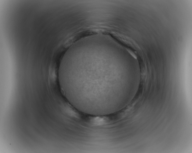 X0000115610566200911171150