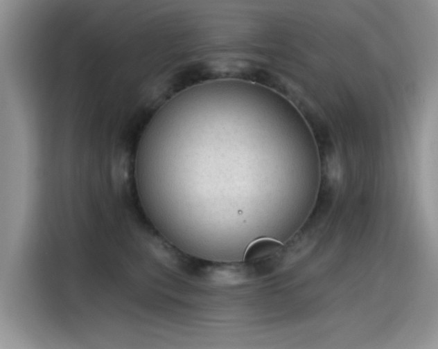 X0000115610567200911171150