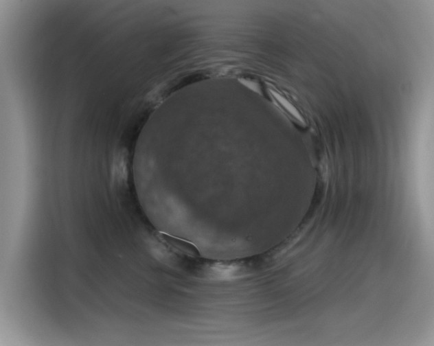 X0000115610570200911171150