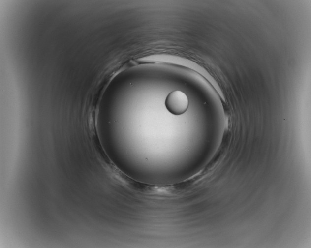 X0000115610573200911171150