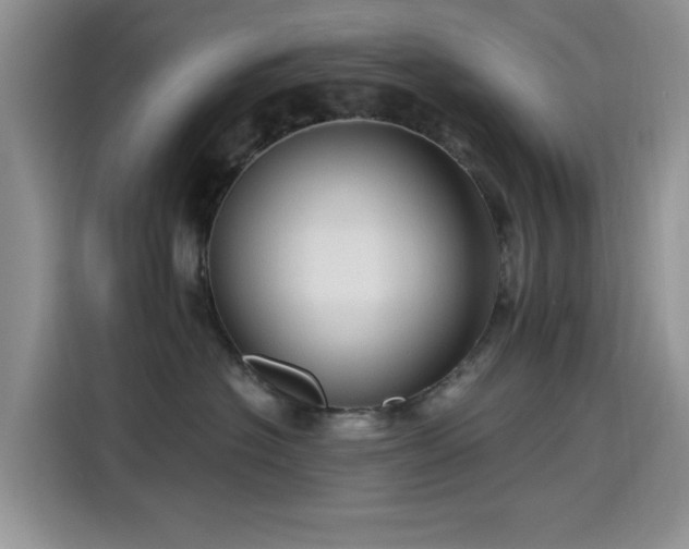 X0000115610574200911171150
