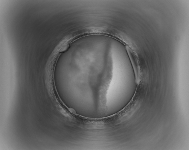X0000115610577200911171150