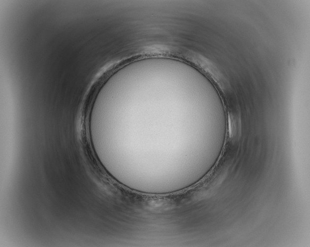 X0000115610579200911171150