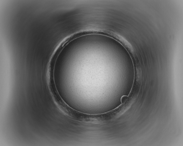 X0000115610580200911171150