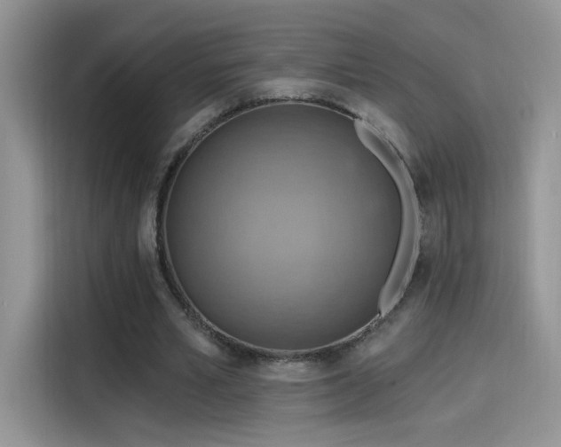 X0000115610581200911171150