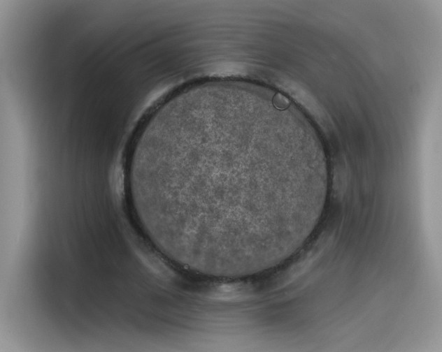 X0000115610584200911171150