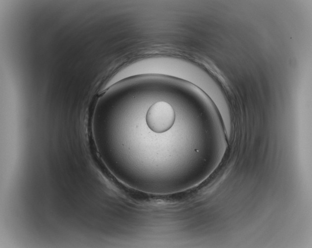 X0000115610585200911171150