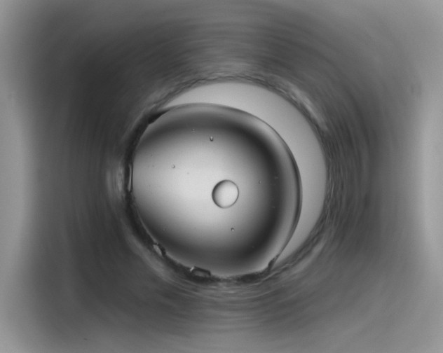 X0000115610589200911171150