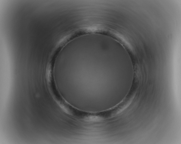 X0000115610590200911171150
