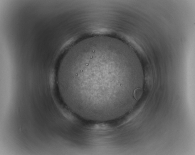 X0000115610591200911171150