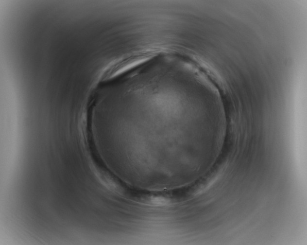 X0000115610592200911171150