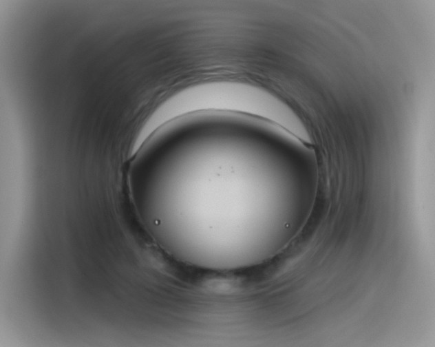 X0000115610595200911171150
