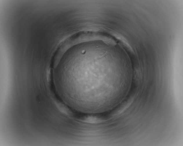 X0000115610596200911171150