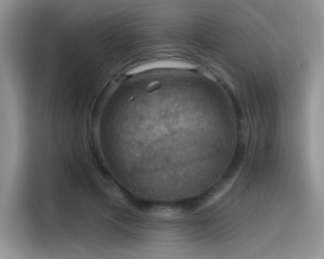 X0000115610597200911171150