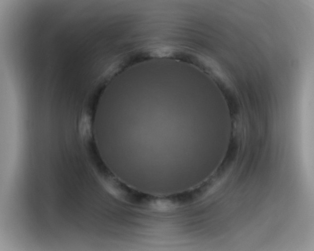 X0000115610598200911171150