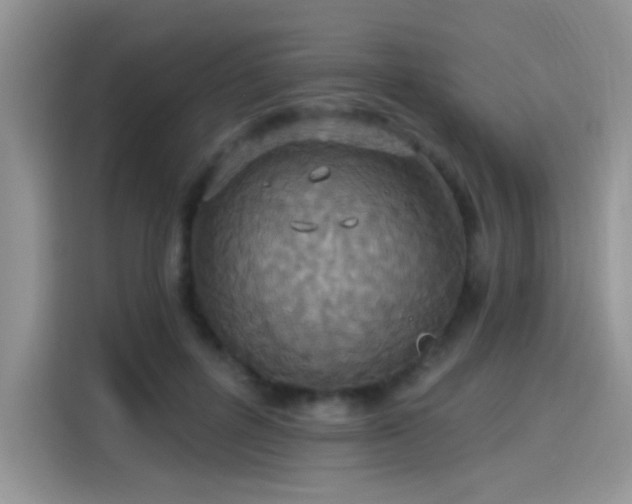 X0000115610600200911171150