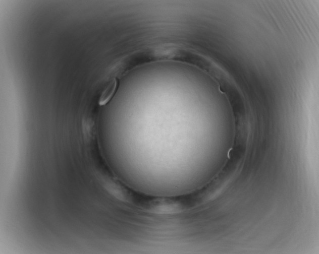 X0000115610601200911171150
