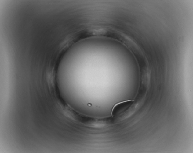 X0000115610604200911171150