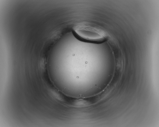X0000115610605200911171150