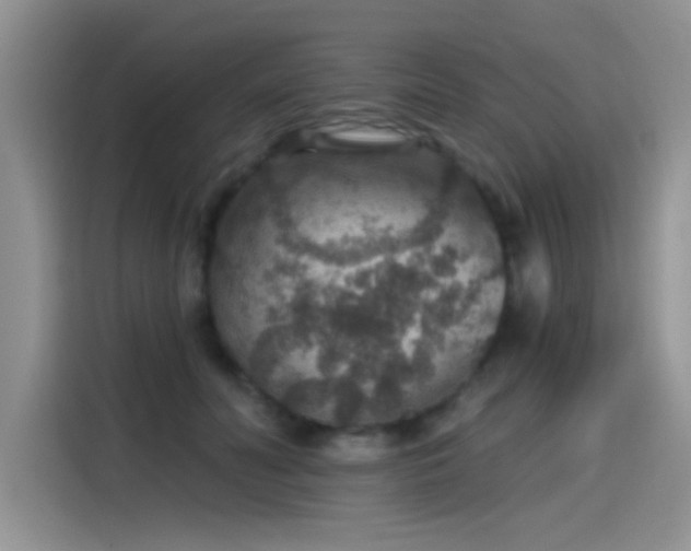 X0000115610606200911171149