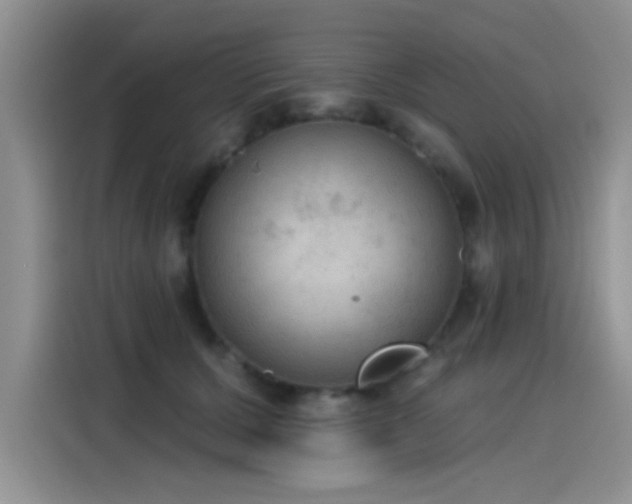 X0000115610607200911171149