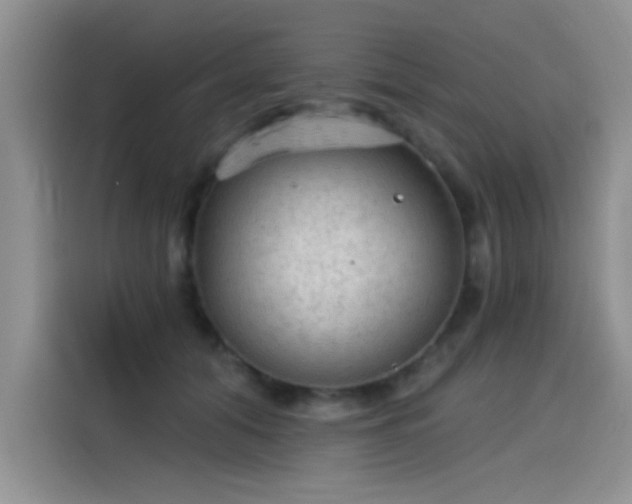 X0000115610608200911171149
