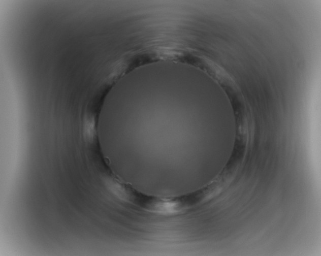 X0000115610610200911171149