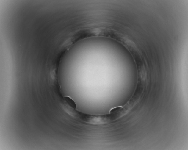 X0000115610611200911171149