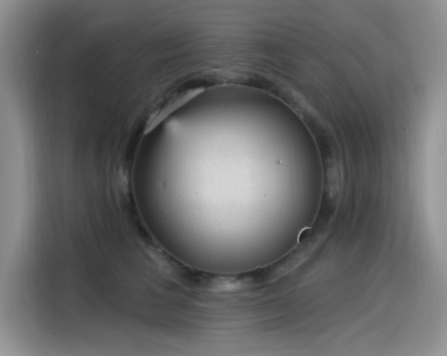 X0000115610613200911171149