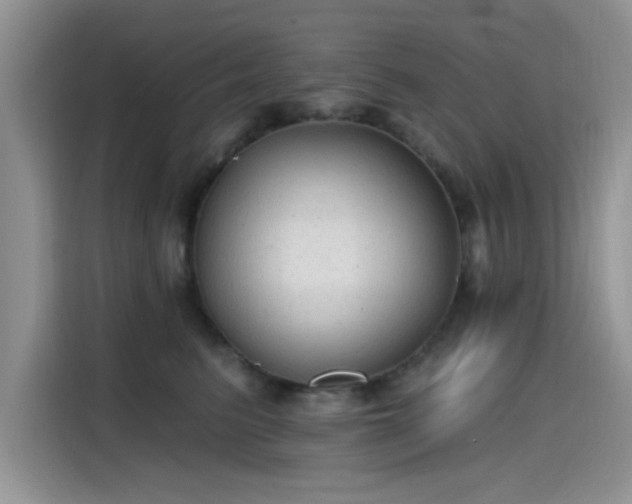 X0000115610615200911171149