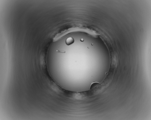 X0000115610616200911171149