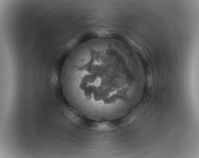 X0000115610618200911171149