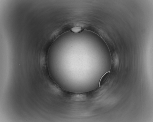 X0000115610619200911171149