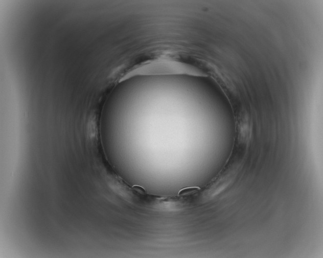 X0000115610620200911171149