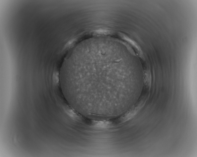 X0000115610621200911171149