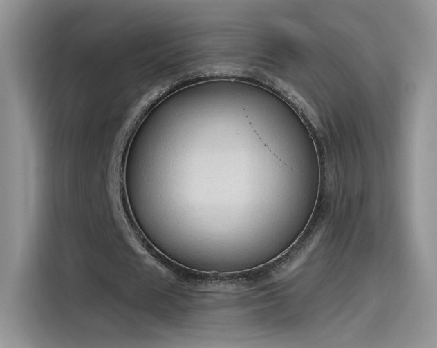 X0000115610625200911171149