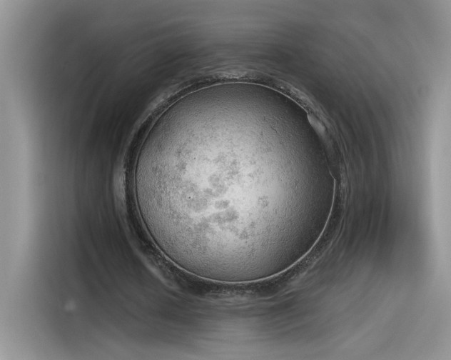X0000115610626200911171149