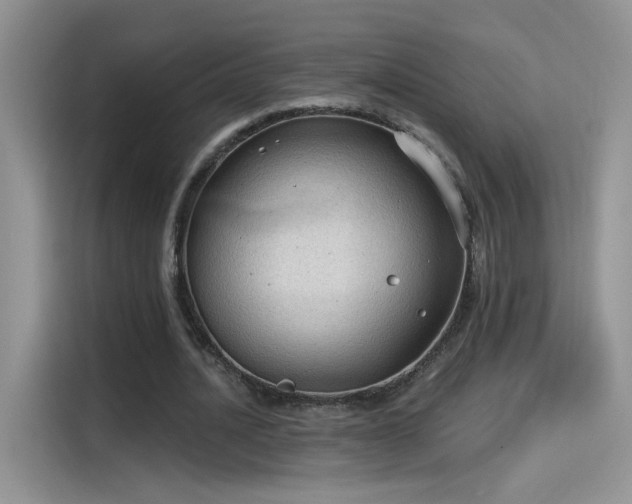 X0000115610628200911171149