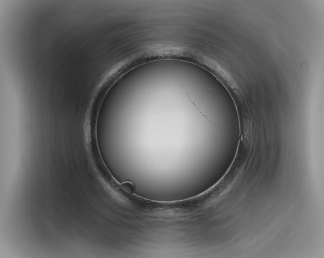 X0000115610629200911171149