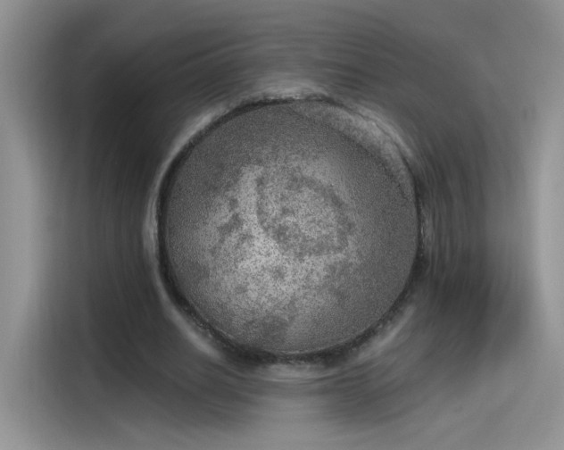 X0000115610630200911171149