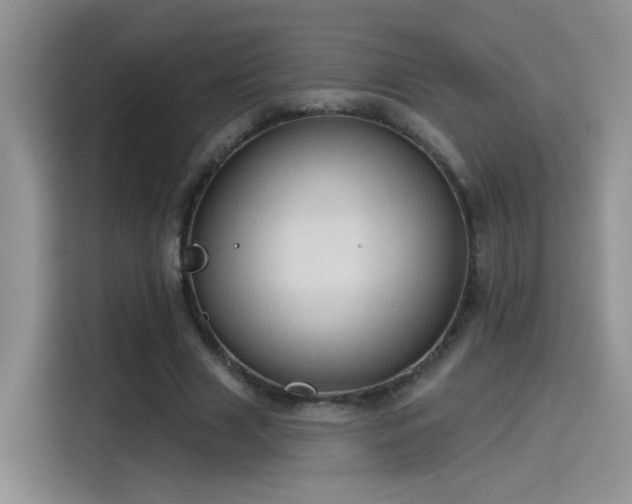 X0000115610633200911171149