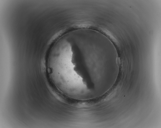 X0000115610634200911171149