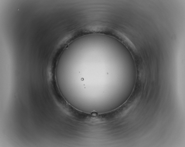 X0000115610635200911171149