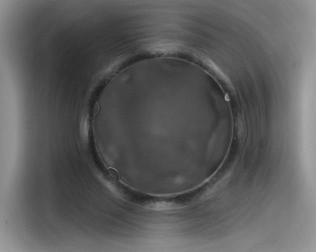 X0000115610637200911171149